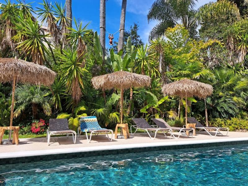 Residence Veles Plage Cannes Bagian luar foto